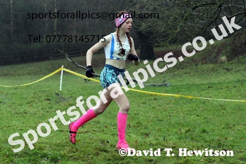 Girls under-13s, NECAA Junior Cross Country Relays, Thornley Farm, Peterlee, Saturday, December 12th. Photo: David T. Hewitson/Sports for All Pics